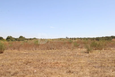 Terreno para Venda em Terrugem e Vila Boim