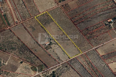 Terreno para Venda em Terrugem e Vila Boim