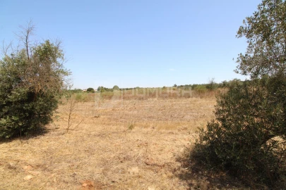 Terreno para Venda em Terrugem e Vila Boim