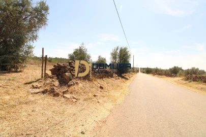Terreno para Venda em Terrugem e Vila Boim