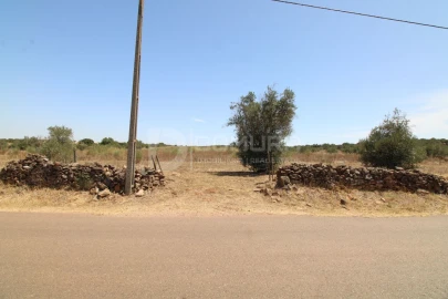 Terreno para Venda em Terrugem e Vila Boim