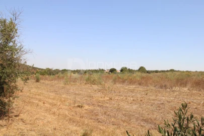 Terreno para Venda em Terrugem e Vila Boim