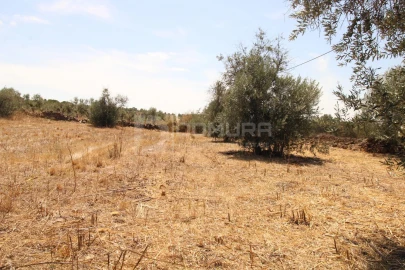 Terreno para Venda em Terrugem e Vila Boim