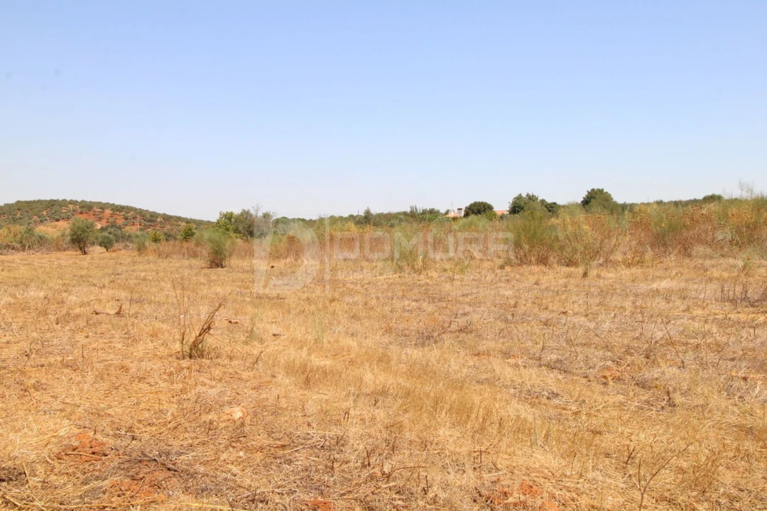 Terreno para Venda em Terrugem e Vila Boim Foto 8