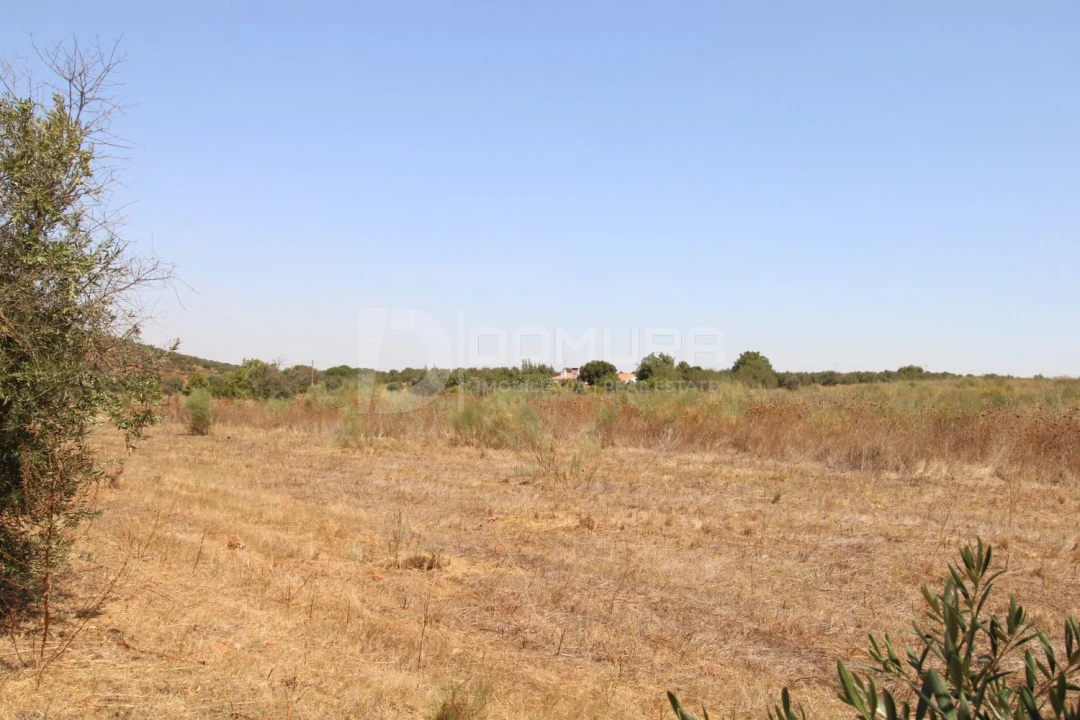 Terreno para Venda em Terrugem e Vila Boim Foto 15