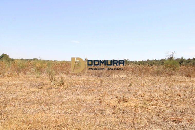 Terreno para Venda em Terrugem e Vila Boim Foto 9