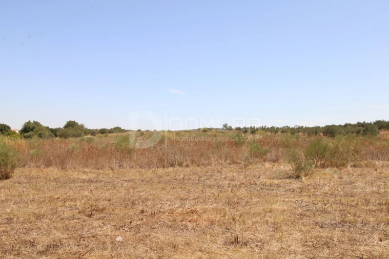 Terreno para Venda em Terrugem e Vila Boim Foto 6
