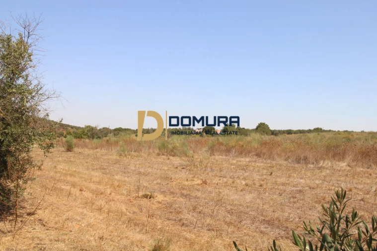 Terreno para Venda em Terrugem e Vila Boim Foto 15