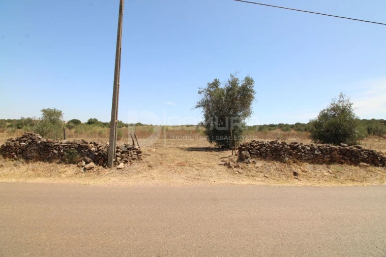 Terreno para Venda em Terrugem e Vila Boim Foto 4