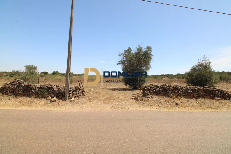 Terreno para Venda em Terrugem e Vila Boim Foto 4