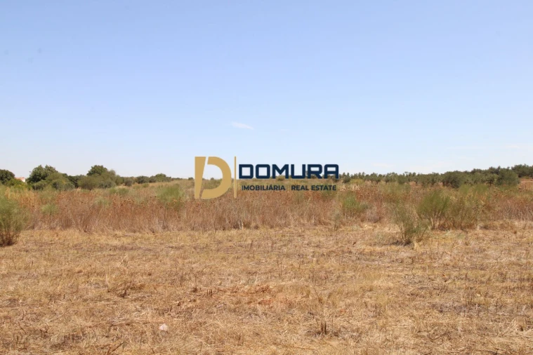 Terreno para Venda em Terrugem e Vila Boim Foto 6