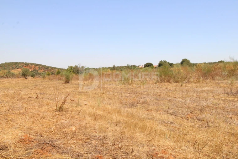 Terreno para Venda em Terrugem e Vila Boim Foto 8