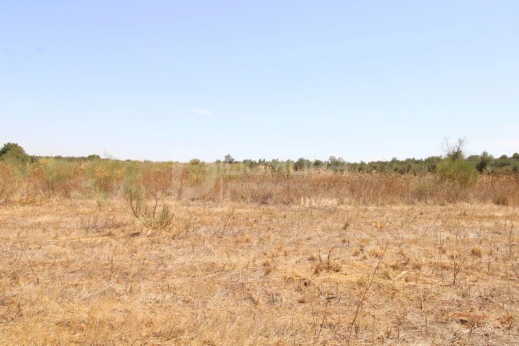 Terreno para Venda em Terrugem e Vila Boim Foto 9