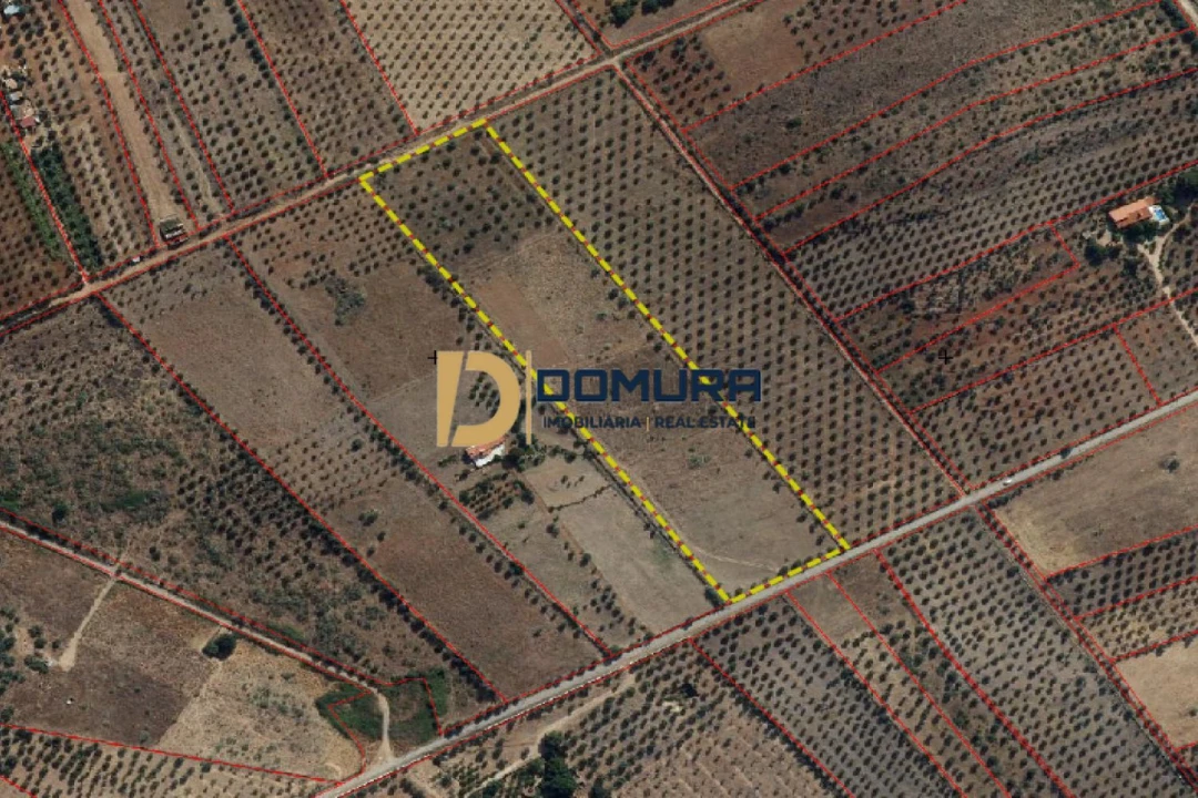 Terreno para Venda em Terrugem e Vila Boim Foto 1