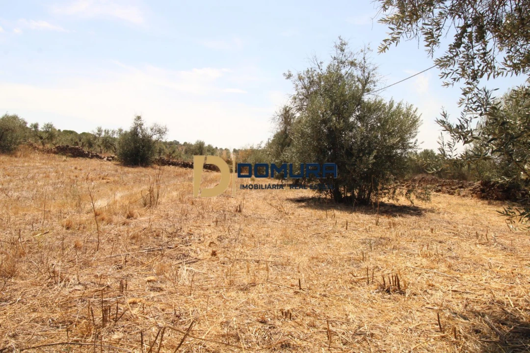 Terreno para Venda em Terrugem e Vila Boim Foto 7