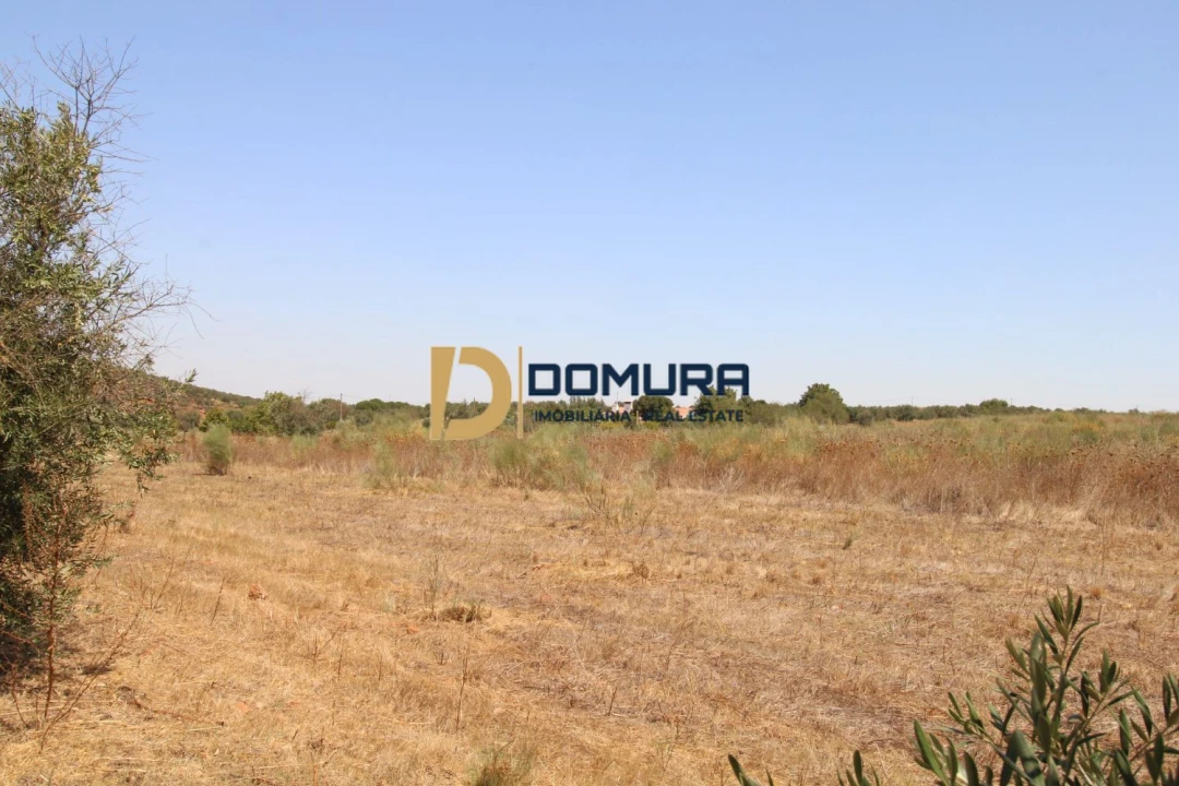 Terreno para Venda em Terrugem e Vila Boim Foto 15