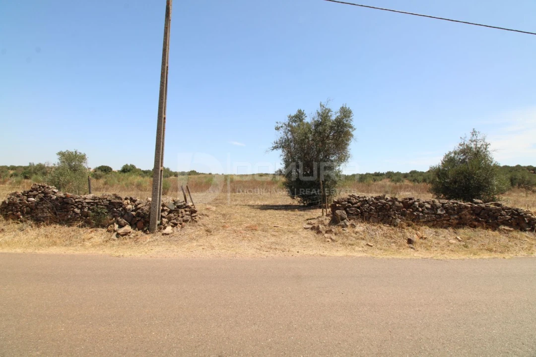 Terreno para Venda em Terrugem e Vila Boim Foto 4