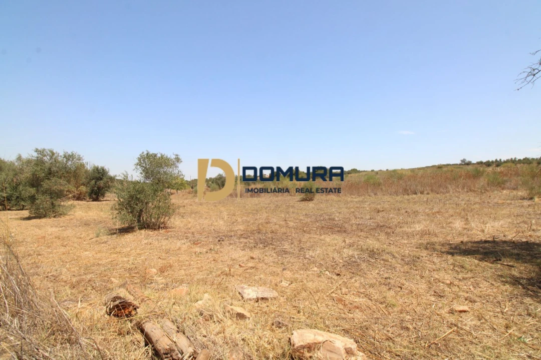 Terreno para Venda em Terrugem e Vila Boim Foto 5