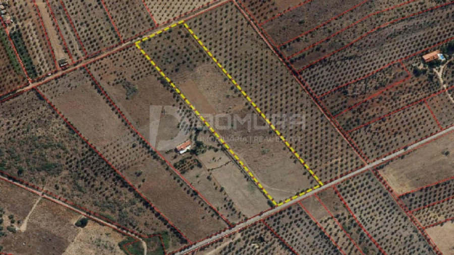 Terreno para Venda em Terrugem e Vila Boim