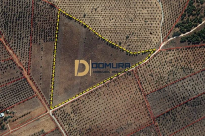Terreno para Venda em Terrugem e Vila Boim