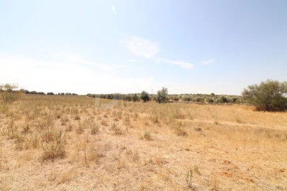 Terreno para Venda em Terrugem e Vila Boim