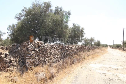 Terreno para Venda em Terrugem e Vila Boim