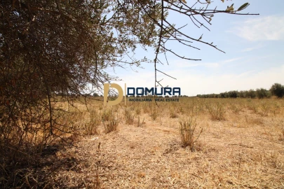 Terreno para Venda em Terrugem e Vila Boim