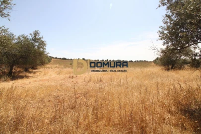 Terreno para Venda em Terrugem e Vila Boim