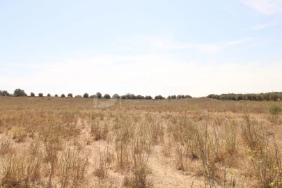 Terreno para Venda em Terrugem e Vila Boim