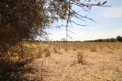 Terreno para Venda em Terrugem e Vila Boim