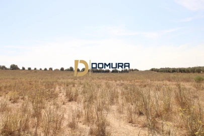Terreno para Venda em Terrugem e Vila Boim