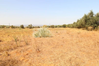 Terreno para Venda em Terrugem e Vila Boim