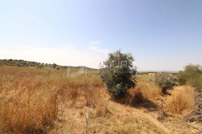 Terreno para Venda em Terrugem e Vila Boim