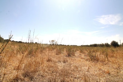 Terreno para Venda em Terrugem e Vila Boim