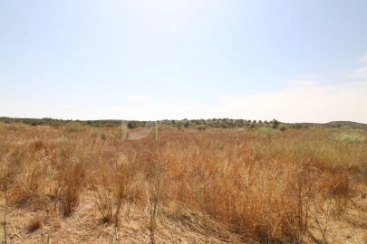 Terreno para Venda em Terrugem e Vila Boim