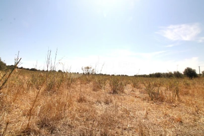 Terreno para Venda em Terrugem e Vila Boim