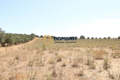 Terreno para Venda em Terrugem e Vila Boim