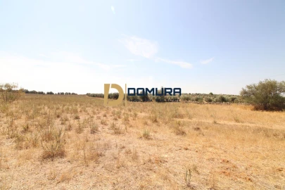 Terreno para Venda em Terrugem e Vila Boim