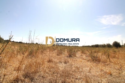 Terreno para Venda em Terrugem e Vila Boim