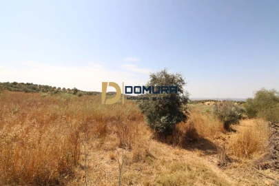 Terreno para Venda em Terrugem e Vila Boim