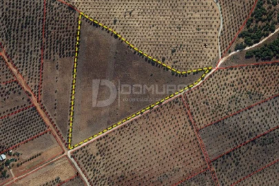 Terreno para Venda em Terrugem e Vila Boim