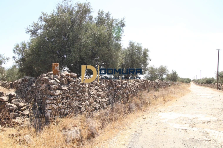 Terreno para Venda em Terrugem e Vila Boim Foto 2