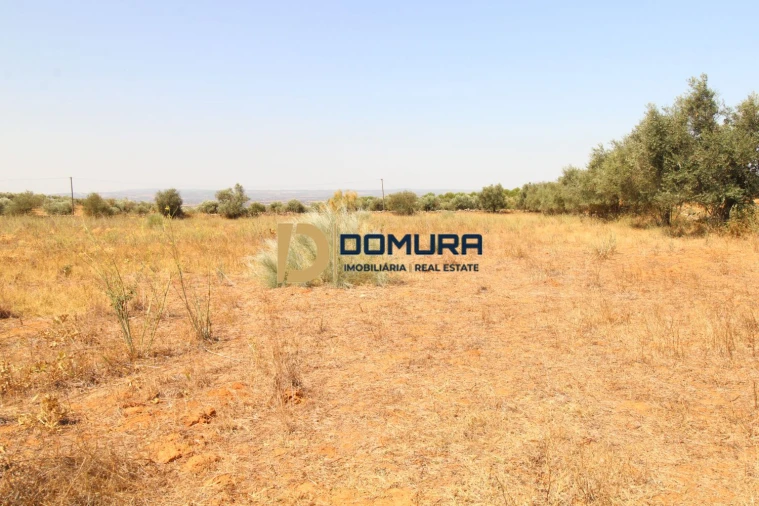 Terreno para Venda em Terrugem e Vila Boim Foto 10