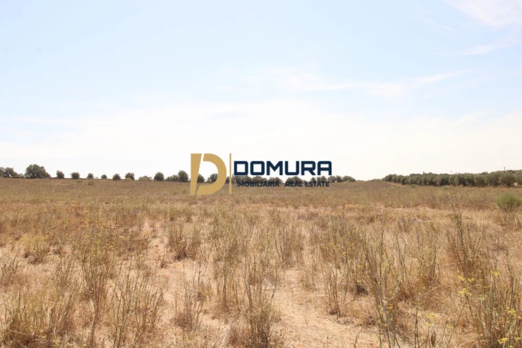 Terreno para Venda em Terrugem e Vila Boim Foto 9