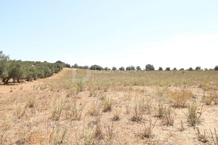 Terreno para Venda em Terrugem e Vila Boim Foto 11