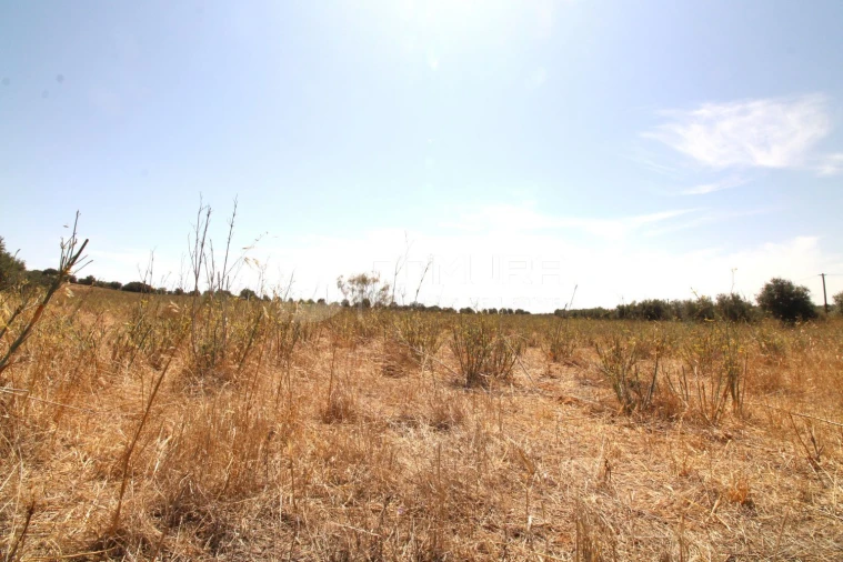 Terreno para Venda em Terrugem e Vila Boim Foto 15