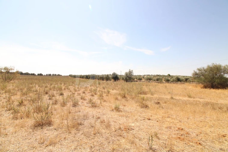 Terreno para Venda em Terrugem e Vila Boim Foto 8