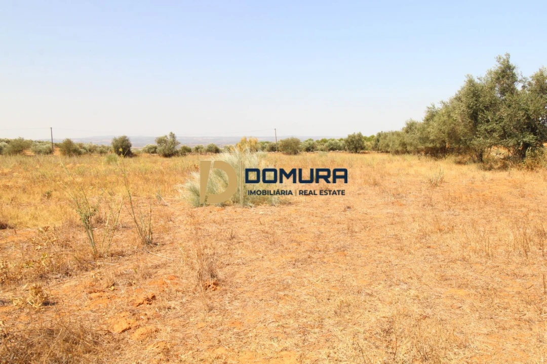 Terreno para Venda em Terrugem e Vila Boim Foto 10