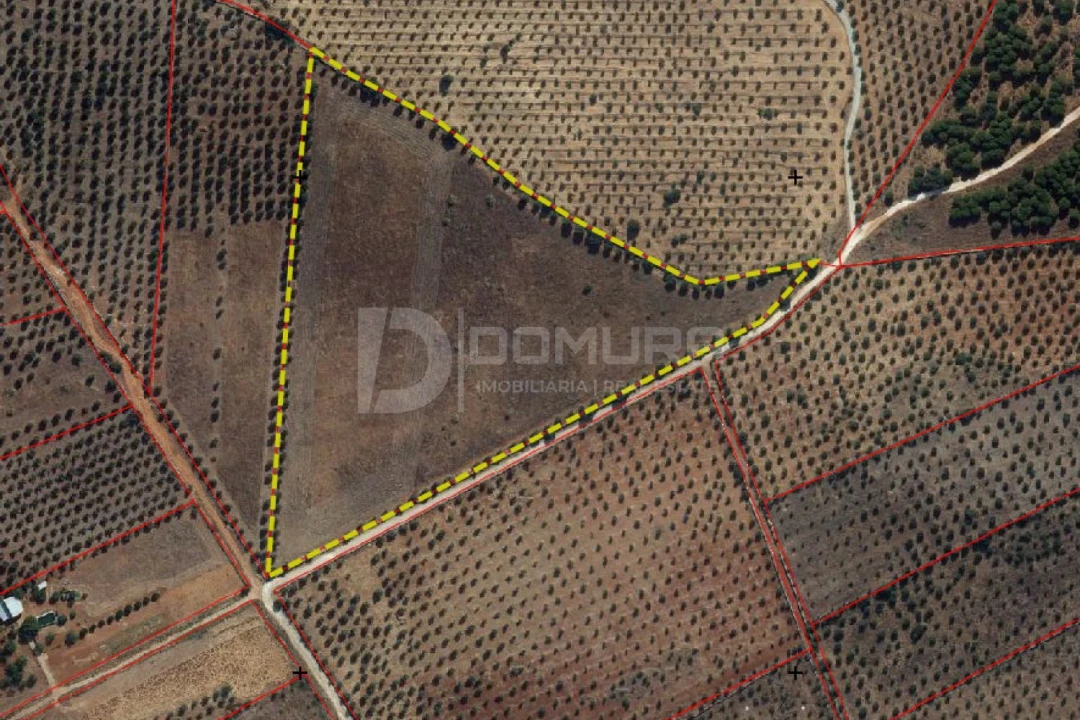 Terreno para Venda em Terrugem e Vila Boim Foto 1