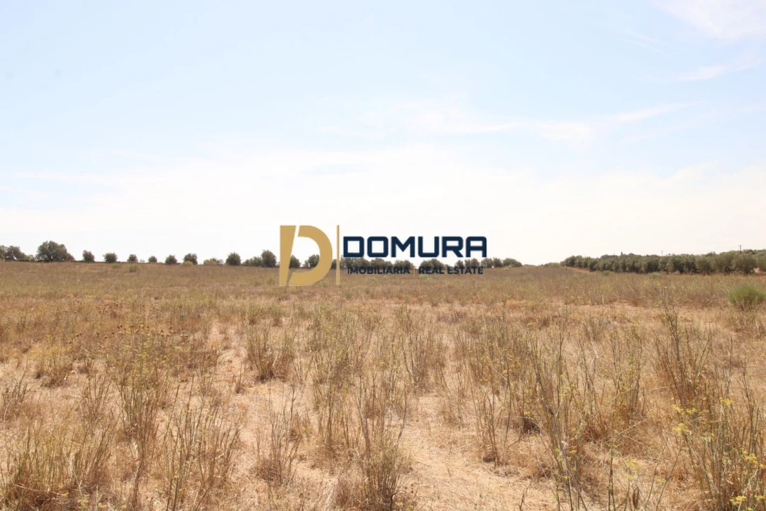 Terreno para Venda em Terrugem e Vila Boim Foto 9